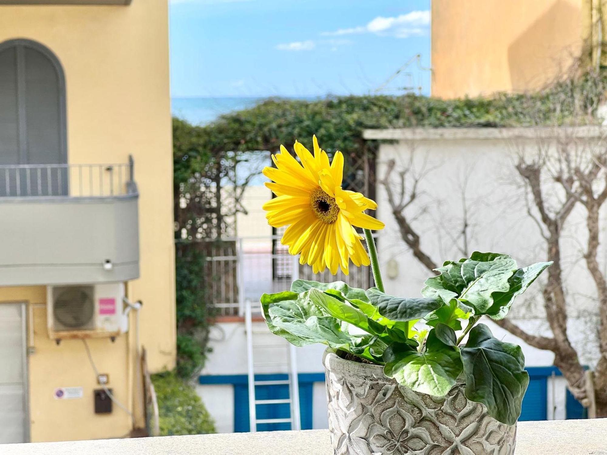 Mono Rosina, Aria Condizionata E Balcone A Soli 50 Metri Dal Mare! By Alfareal Castiglione della Pescaia Exterior foto